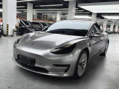 Tesla Model 3 Standard Range RWD Upgrade - ფოტო 1