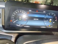 Ford Watson Wilford Black Warrior 2.0T Gasoline Standard Edition - ფოტო 13