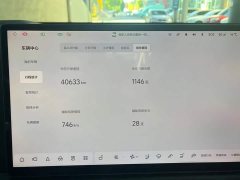 Li Auto L7 Pro - ფოტო 14
