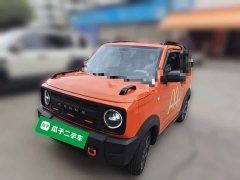 Geely Panda 210km Panda Knight - photo 1