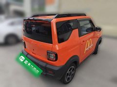 Geely Panda 210km Panda Knight - photo 4