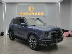 Great Wall Dachshund 1.5T DCT Border Collie Edition - ფოტო 3