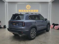 Great Wall Dachshund 1.5T DCT Border Collie Edition - ფოტო 4