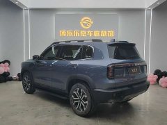 Great Wall Dachshund 1.5T DCT Border Collie Edition - ფოტო 6