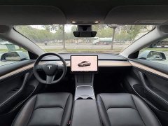 Tesla Model 3 2022 Rear-Wheel Drive - ფოტო 16