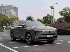Great Wall WEY Blue Mountain Four-Wheel Drive Max - ფოტო 3