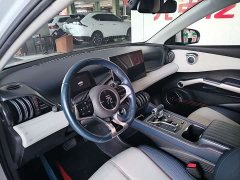 BYD Yuan Plus 510KM Respect and Honor Edition - ფოტო 6