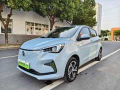 Changan Benben E-Star Pure Heart Edition Colorful Edition Ternary Lithium - ფოტო 1