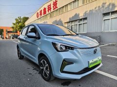Changan Benben E-Star Pure Heart Edition Colorful Edition Ternary Lithium - ფოტო 3