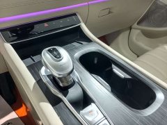 Voyah Dream PHEV Extended Range Luxury Edition - ფოტო 10