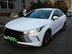 BYD Destroyer 05 Glory Edition DM-i 55KM Luxury - ფოტო 1