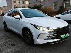 BYD Destroyer 05 Glory Edition DM-i 55KM Luxury - ფოტო 2
