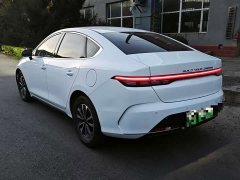 BYD Destroyer 05 Glory Edition DM-i 55KM Luxury - ფოტო 9