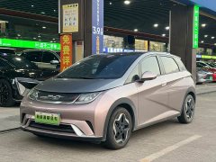 BYD Dolphin 405km Fashion Edition - ფოტო 1