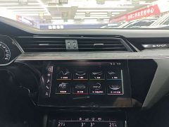 Audi e-tron 55 quattro Version - ფოტო 15