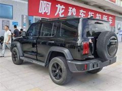 Tank 300 2.0T Conqueror - ფოტო 9