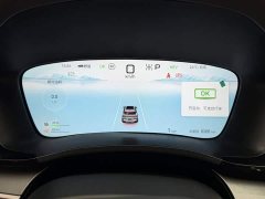 BYD Song Plus New Energy 2025 DM-i 112KM Prestige - ფოტო 13