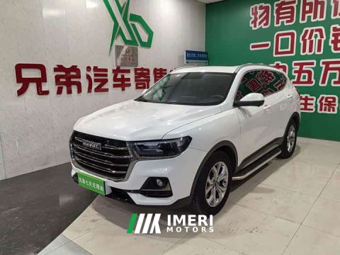 2022 Haval H6 National Trend 1.5T Automatic Champion Edition - ავტომობილი ჩინეთიდან