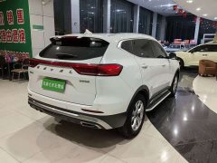 Haval H6 2021 National Trend 1.5T Automatic Champion Edition - ფოტო 13