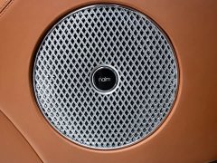 Bentley Bentayga 2021 4.0T V8 - ფოტო 17