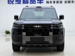 Fangchengbao Titanium 7 315KM Two-Wheel Drive Max Edition - ფოტო 2
