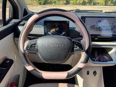 Geely Yuntu 320km - ფოტო 11