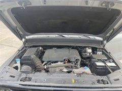 Tank 300 2021 Off-Road Edition 2.0T Challenger - ფოტო 5