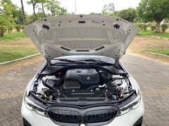 BMW 3 Series Facelift 325Li M Sport Night Edition Package - ფოტო 15