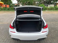 BMW 3 Series Facelift 325Li M Sport Night Edition Package - ფოტო 16