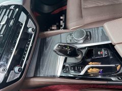 BMW 5 Series Facelift 530Li Premier M Sport Package - ფოტო 6