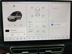 Li Auto L8 Pro - ფოტო 9