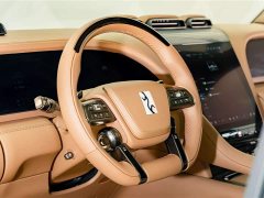 Yangwang U8 2023 Luxury Edition - ფოტო 12