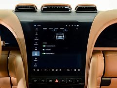 Yangwang U8 2023 Luxury Edition - ფოტო 15