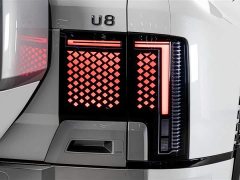 Yangwang U8 2023 Luxury Edition - ფოტო 8
