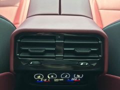 BMW 5 Series Facelift 530Li Premier M Sport Package - ფოტო 19