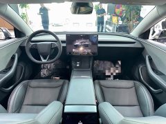 Tesla Model 3 Rear-Wheel Drive - ფოტო 6