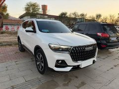 Haval H6 National Trend Edition 1.5T Automatic Champion Version - ფოტო 2