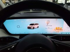 Buick GL8 Luxe Premium Edition - ფოტო 14