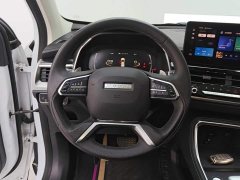Haval H6 National Trend 1.5T Automatic Champion Edition - ფოტო 15