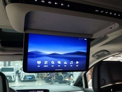 Buick GL8 Luxurious Edition Premium Trim - ფოტო 16