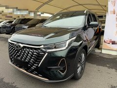 Chery Tiggo 8 PRO Champion Edition 390T Two-Wheel Drive Peak Edition 5-Seater - ფოტო 1