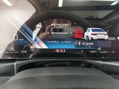 BMW 3 Series 320Li M Sport Package - ფოტო 10