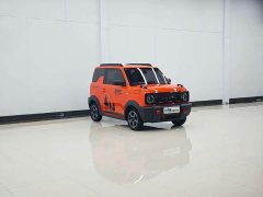 Geely Panda 210km Panda Knight - ფოტო 3