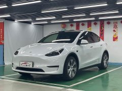 Tesla Model Y Facelift Long Range All-Wheel Drive - фото 1