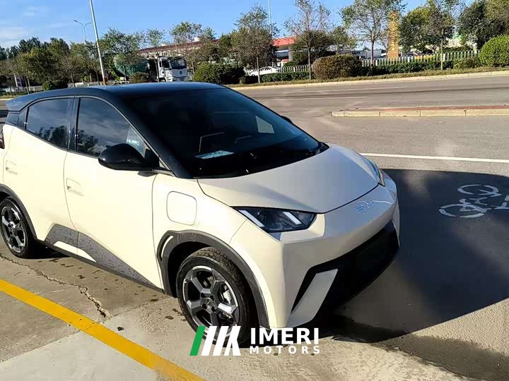 BYD Seagull 2023 Freedom Edition - ავტომობილი ჩინეთიდან