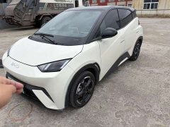 BYD Seagull 2023 Freedom Edition - ფოტო 3