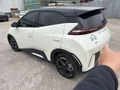 BYD Seagull 2023 Freedom Edition - ფოტო 7