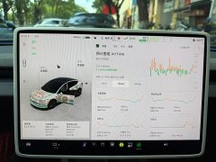 Tesla Model 3 Rear-Wheel Drive - ფოტო 12