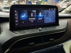 Buick GL8 Land Executive Cabin 652T Premium - ფოტო 12