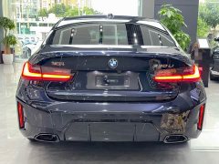 BMW 3 Series 330Li M Sport Night Edition Package - ფოტო 7